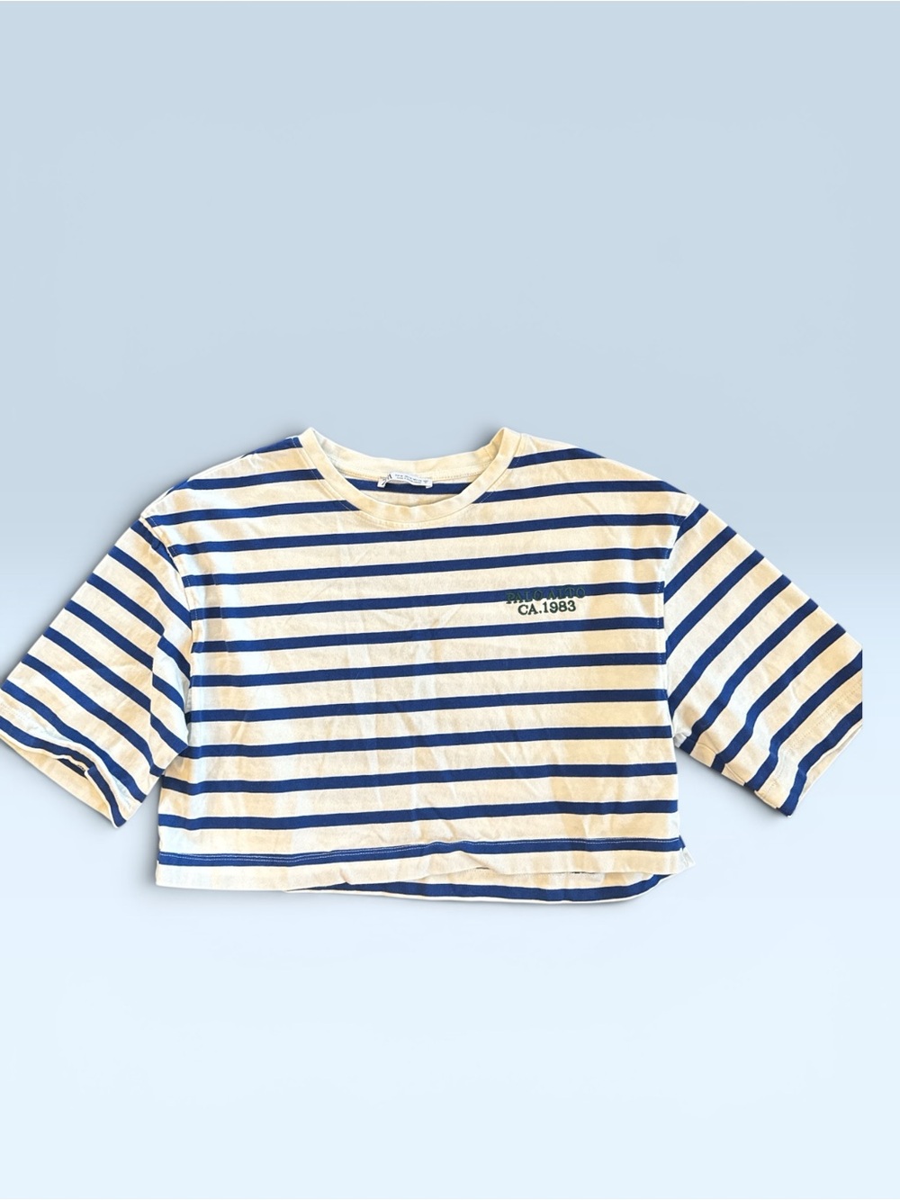 Zara Blue & white Striped Cropped Tee -